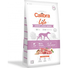 Calibra Dog Life Junior Large Breed Lamb 12 kg