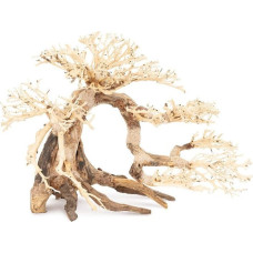 Norimpex Ton�ce drzewo Bonsai nr 63 80x50