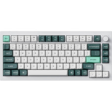 Keychron Klawiatura Keychron Q1 HE QMK Gateron Double-Rail Magnetic Nebula (Q1H-P1)
