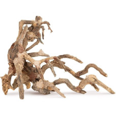Tulup Ton�ce drzewo Bonsai nr 64 75x45