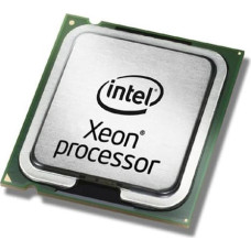 Fujitsu Procesor serwerowy Fujitsu Intel Xeon Gold 5217 procesor 3 GHz 11 MB L3