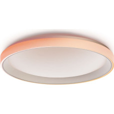 Aqara Ceiling Light T1M