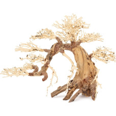 Norimpex Ton�ce drzewo Bonsai nr 13 70x50