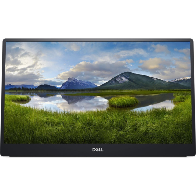 Dell Monitor Dell Przenośny P1424H (210-BHQQ)