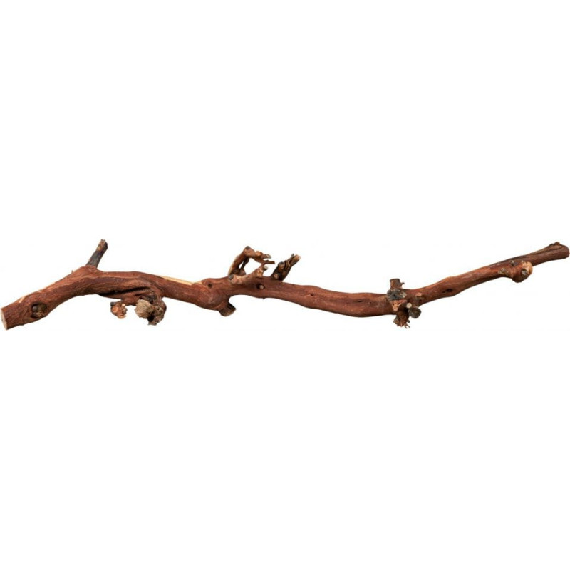 Trixie Korzenie winorośla 10 szt. piaskowane 45-70cm