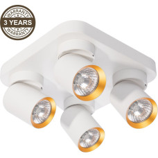 Domoletti Lampa sufitowa Domoletti CEILING LIGHT TUNIS 4XGU10 ML9940 W/GOLD