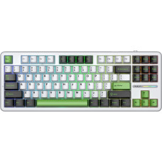Aula Klawiatura Aula F87 GrayWood V3 (AUF87-BWG-GW3)