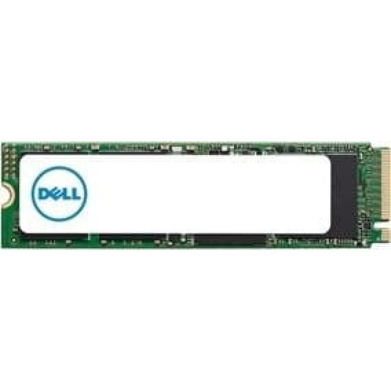 Dell Dysk serwerowy Dell 1TB PCI-E x4 Gen 4 NVMe  (T8TY0)